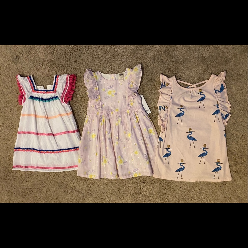 Toddler Girls 3T Lot